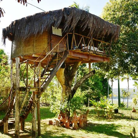 Art Jungle Hotel อิตากาเร ภายนอก รูปภาพ