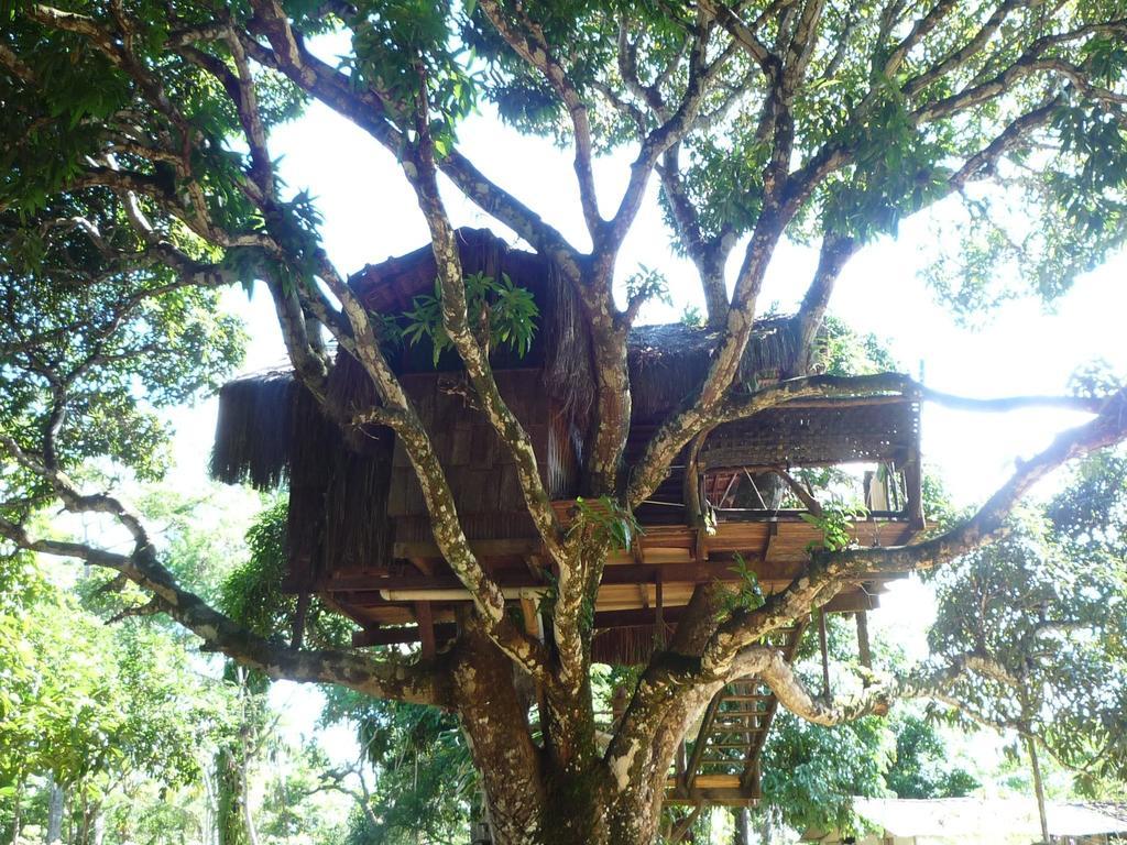 Art Jungle Hotel อิตากาเร ภายนอก รูปภาพ