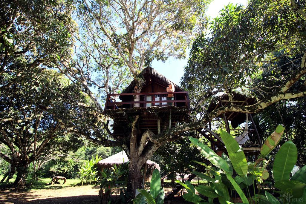 Art Jungle Hotel อิตากาเร ภายนอก รูปภาพ