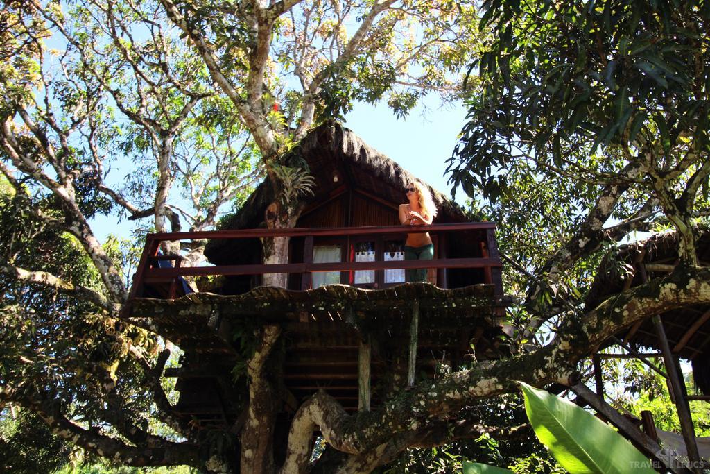 Art Jungle Hotel อิตากาเร ภายนอก รูปภาพ