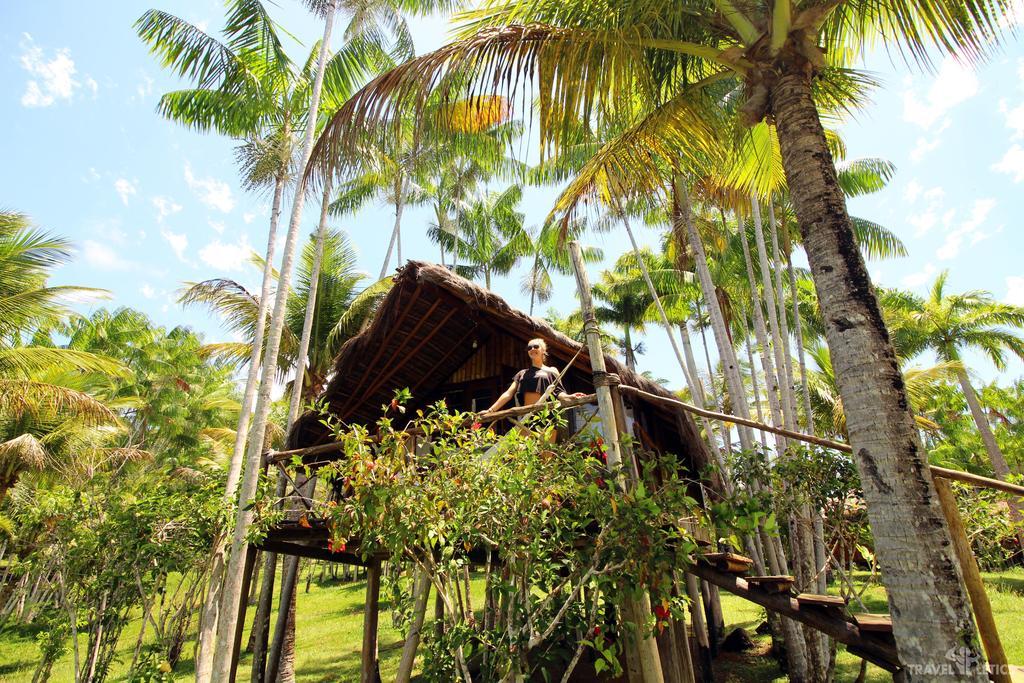 Art Jungle Hotel อิตากาเร ภายนอก รูปภาพ