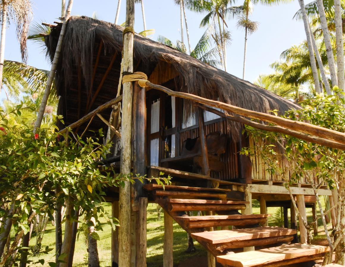 Art Jungle Hotel อิตากาเร ภายนอก รูปภาพ