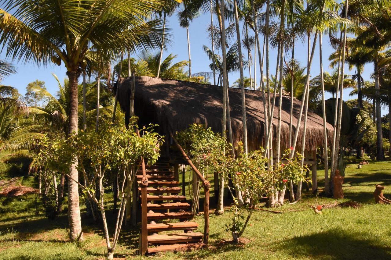 Art Jungle Hotel อิตากาเร ภายนอก รูปภาพ