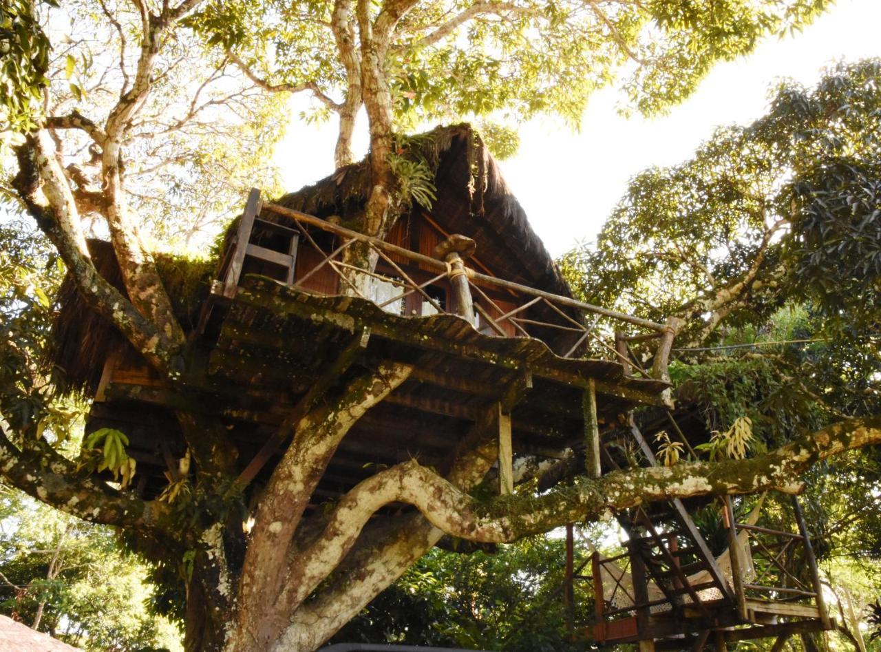 Art Jungle Hotel อิตากาเร ภายนอก รูปภาพ