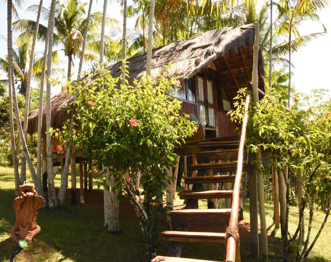 Art Jungle Hotel อิตากาเร ภายนอก รูปภาพ