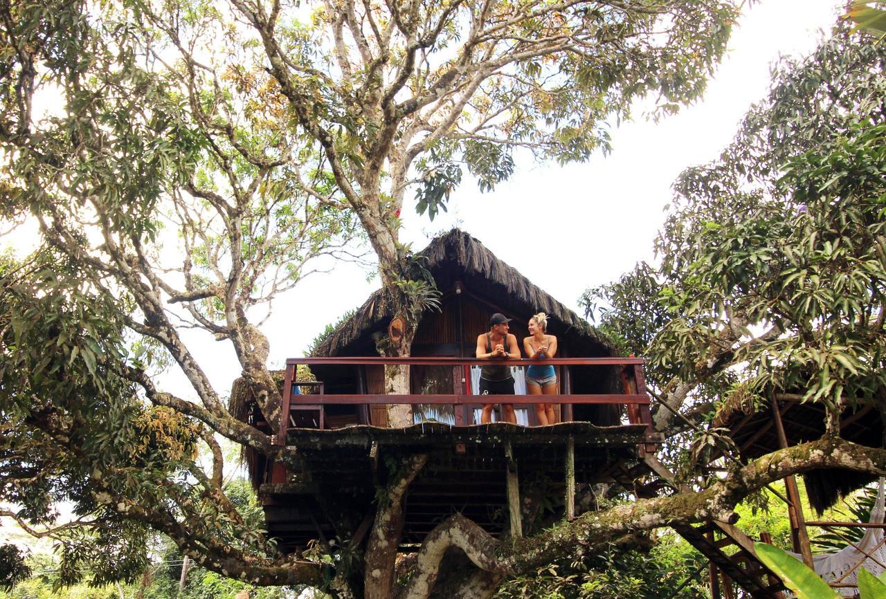 Art Jungle Hotel อิตากาเร ภายนอก รูปภาพ