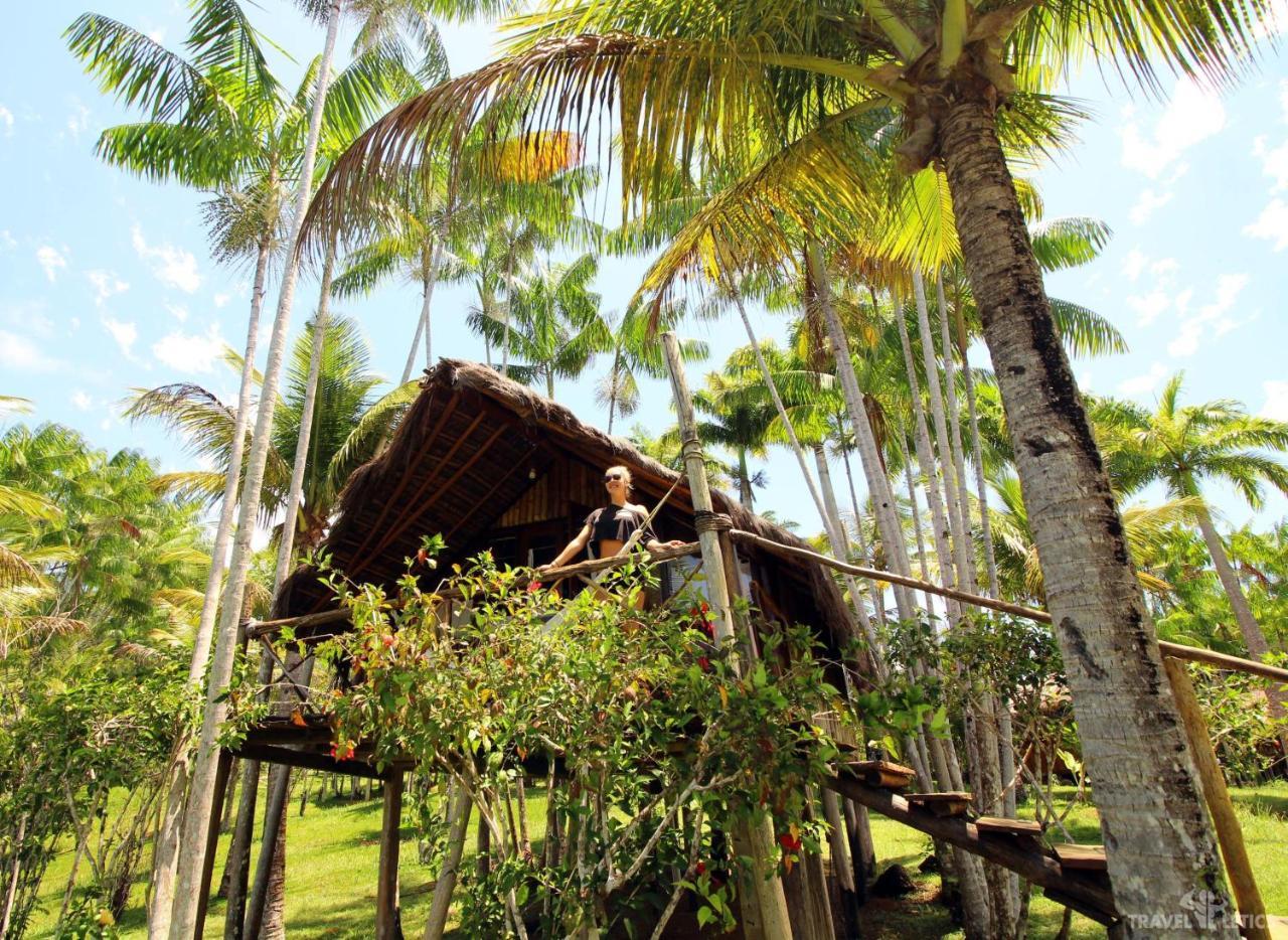 Art Jungle Hotel อิตากาเร ภายนอก รูปภาพ