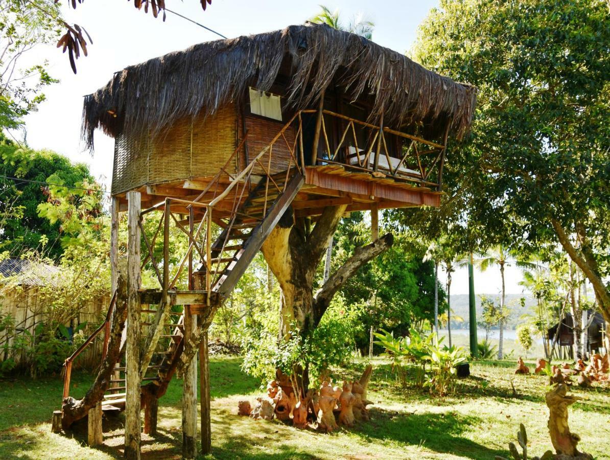 Art Jungle Hotel อิตากาเร ภายนอก รูปภาพ