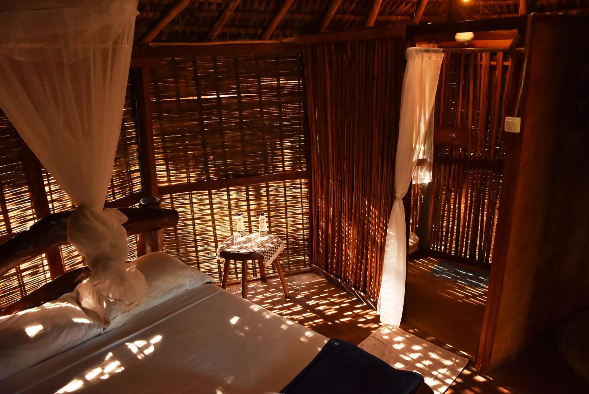 Art Jungle Hotel อิตากาเร ภายนอก รูปภาพ